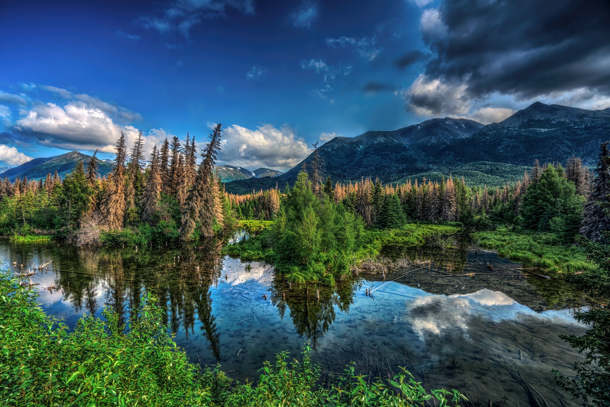 Kenai Reflections