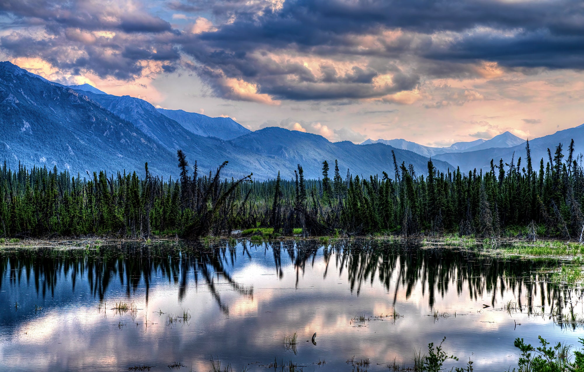 Boreal Reflections