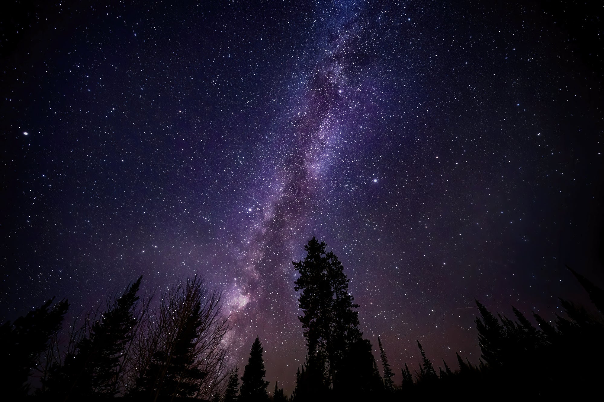 Celestial Dreams