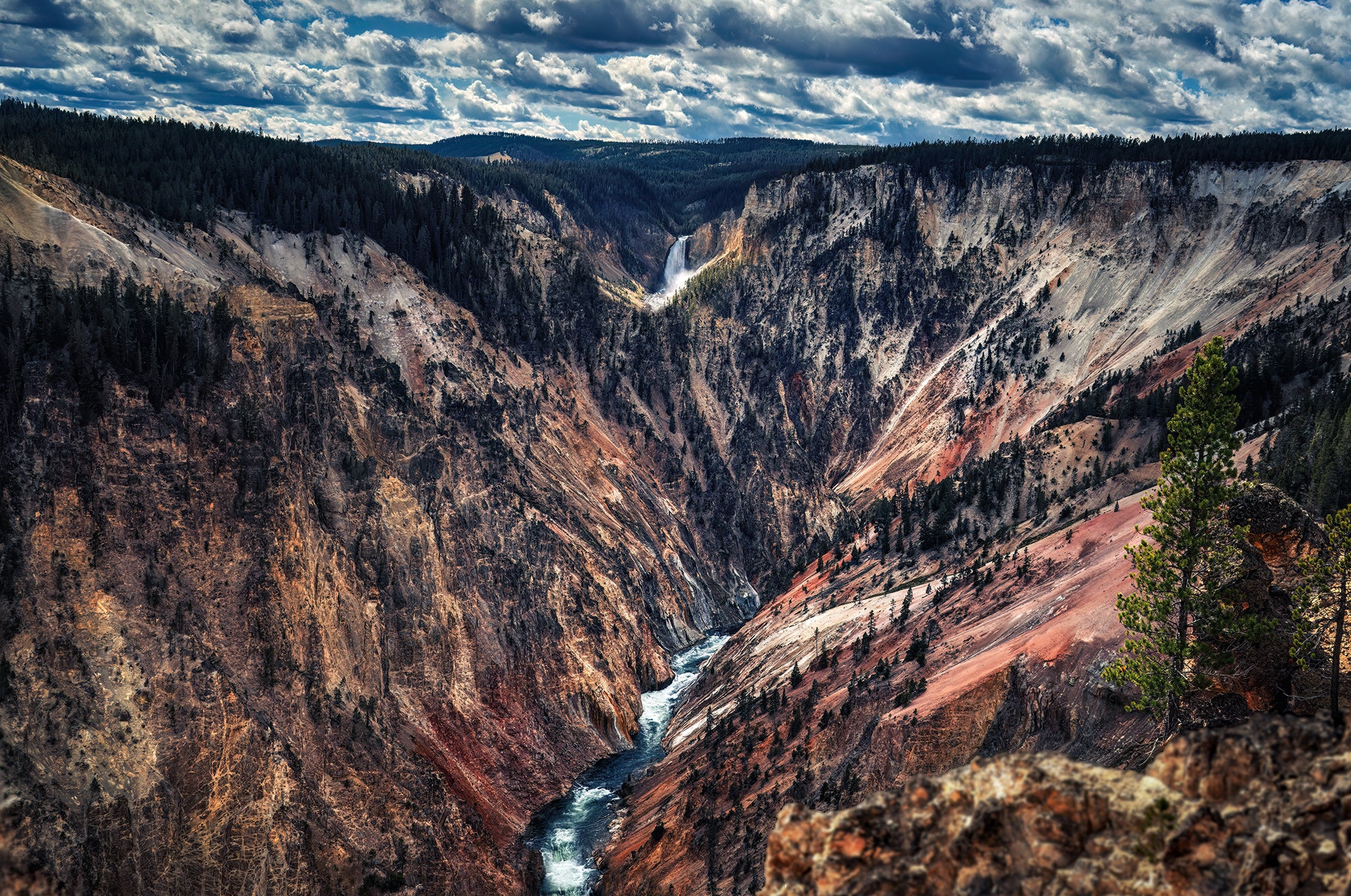 Yellowstone Falls